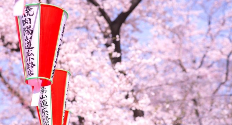 【Ueno Park】Cherry Blossom Viewing Information 2023 - Japan's Premier Attraction