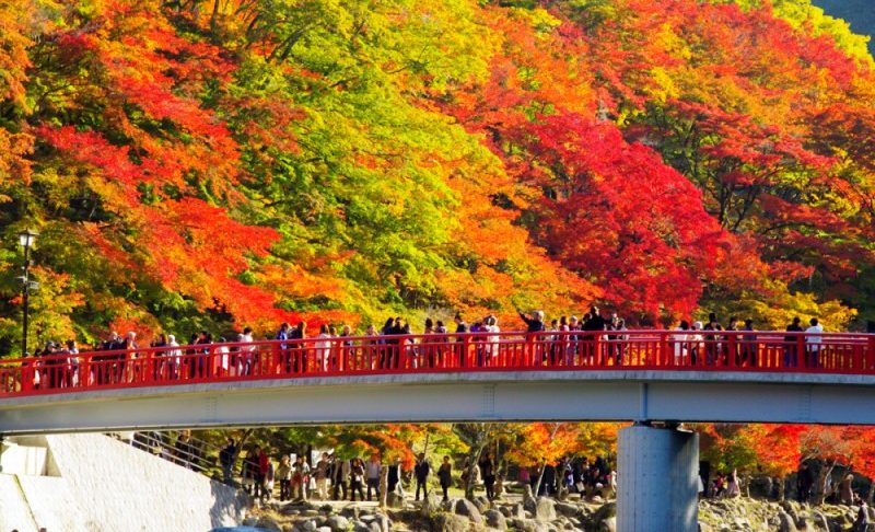 香嵐溪紅葉及周邊7處推薦旅遊景點，絕美景色！