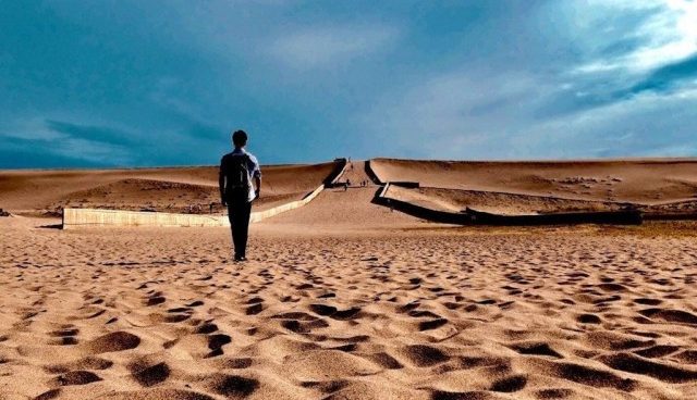 Observe Sea Turtles Laying Eggs At Nakatajima Sand Dunes, One of The Three Largest Sand Dunes In Japan!