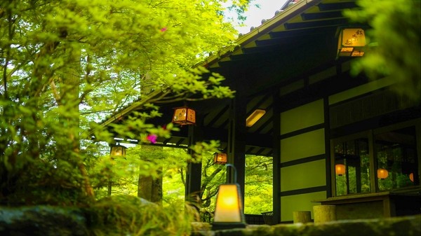 【2023】Kyoto Autumn Foliage Season and Recommended Hotels for Enjoying Autumn Leaves in Kyoto