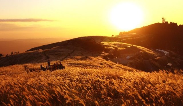 【西日本】21個秋季旅行推薦旅遊景點