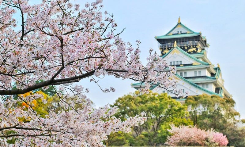 2023年都道府縣吸引力排名 7縣旅遊意願上升 北海道連續15年排名第一