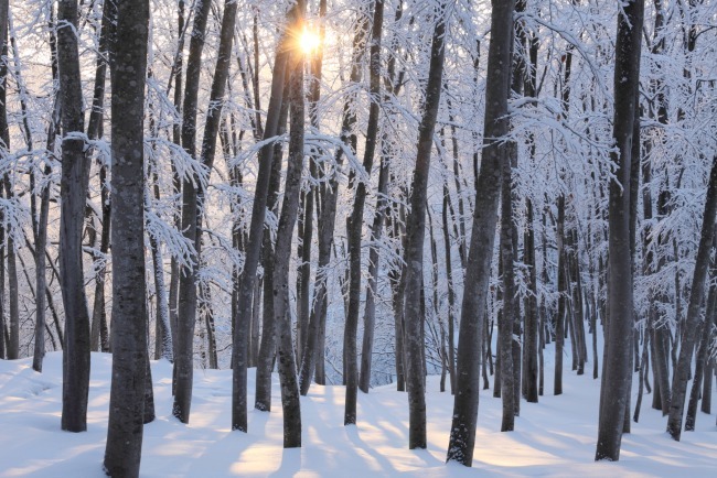 niigata tourist spot winter