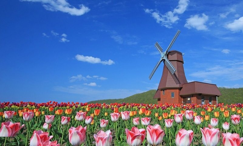 北陸、上越新幹線春季旅遊推薦7個目的地