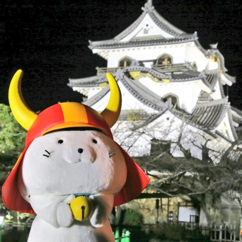 1747791938 kanenomaru413h nyan 490445767 1307954273614332 5129360139523567203 n