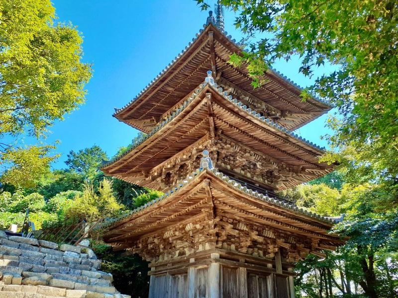 1747793690 walk2.jalan2 .photo .japan565 461125229 910024740982175 9175420016790118037 n