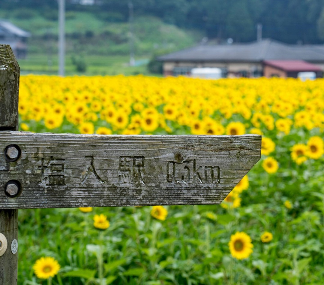 1749517235 yuske.odani 106423135 707636166447993 6537309946460208079 n