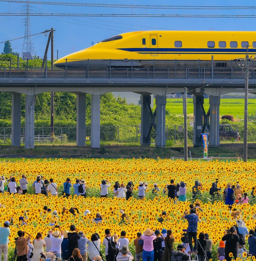 1749517852 aoshima japan 454452135 377902095334551 9130302142632575556 n