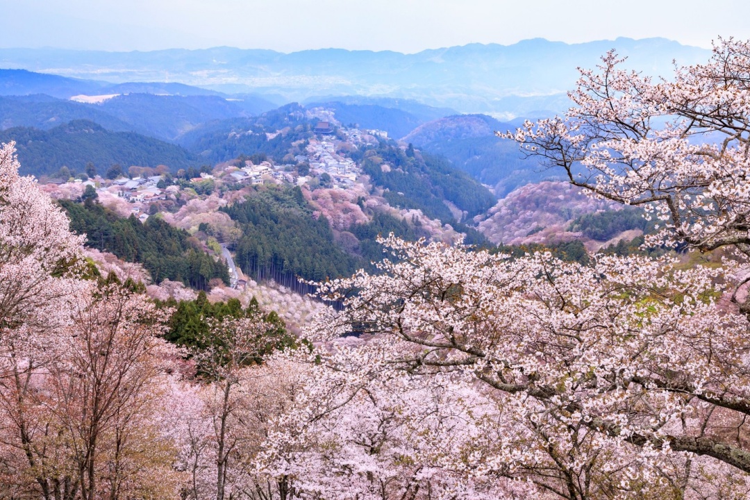 1749603138 nationalpark japan jp 479492689 18030401450628933 6826261019066340475 n