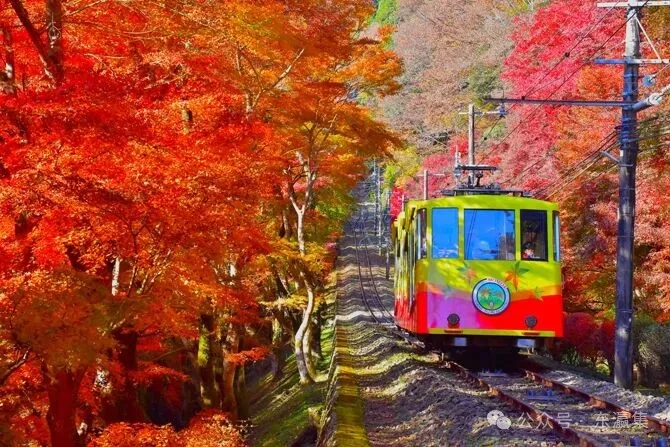 日本最全秋季旅行指南:20个必打卡景点!第12名的空中缆车体验太惊艳