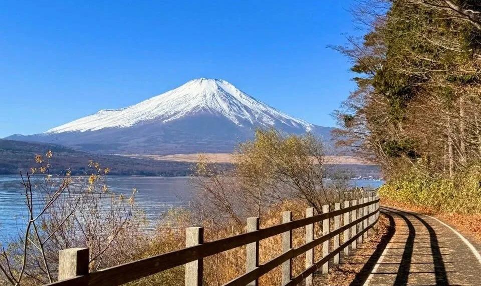 1766543737 image e1766543812430