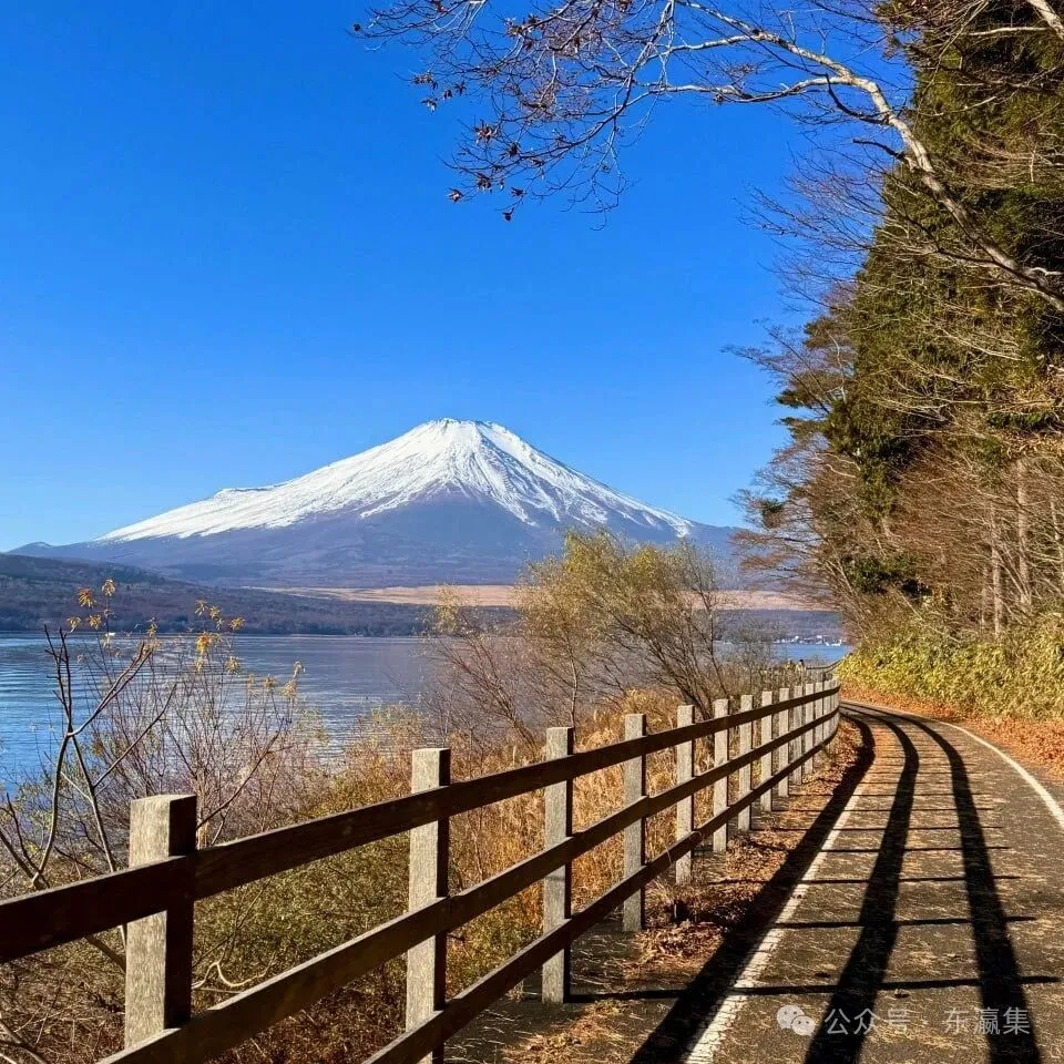 Japan flight cancellations