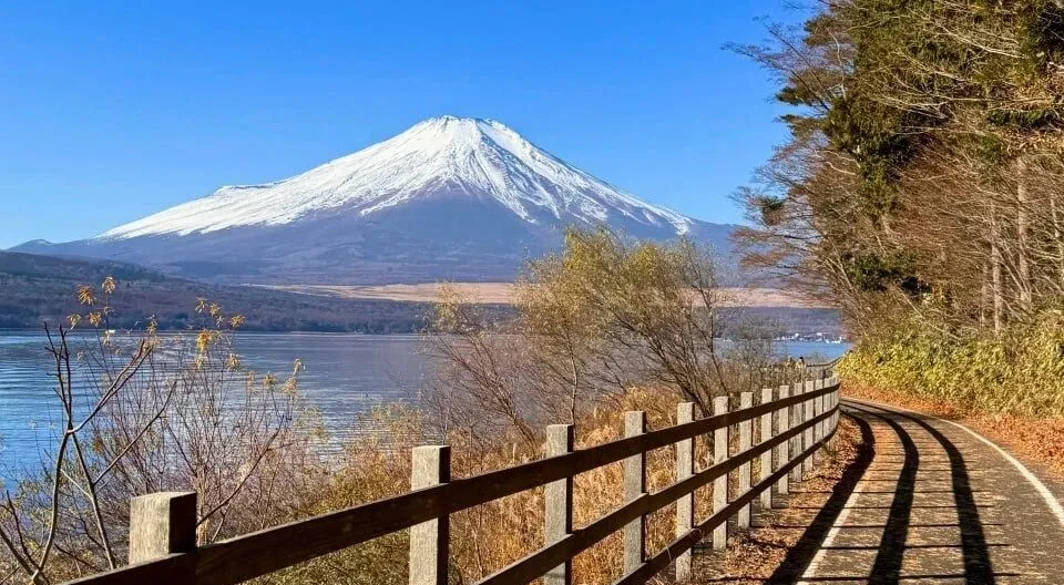 1766624811 image e1766624889262